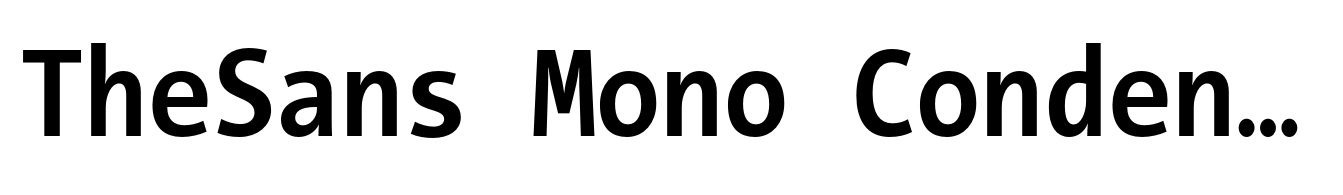 TheSans Mono Condensed Bold